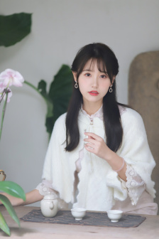 无耻之徒美版第四季